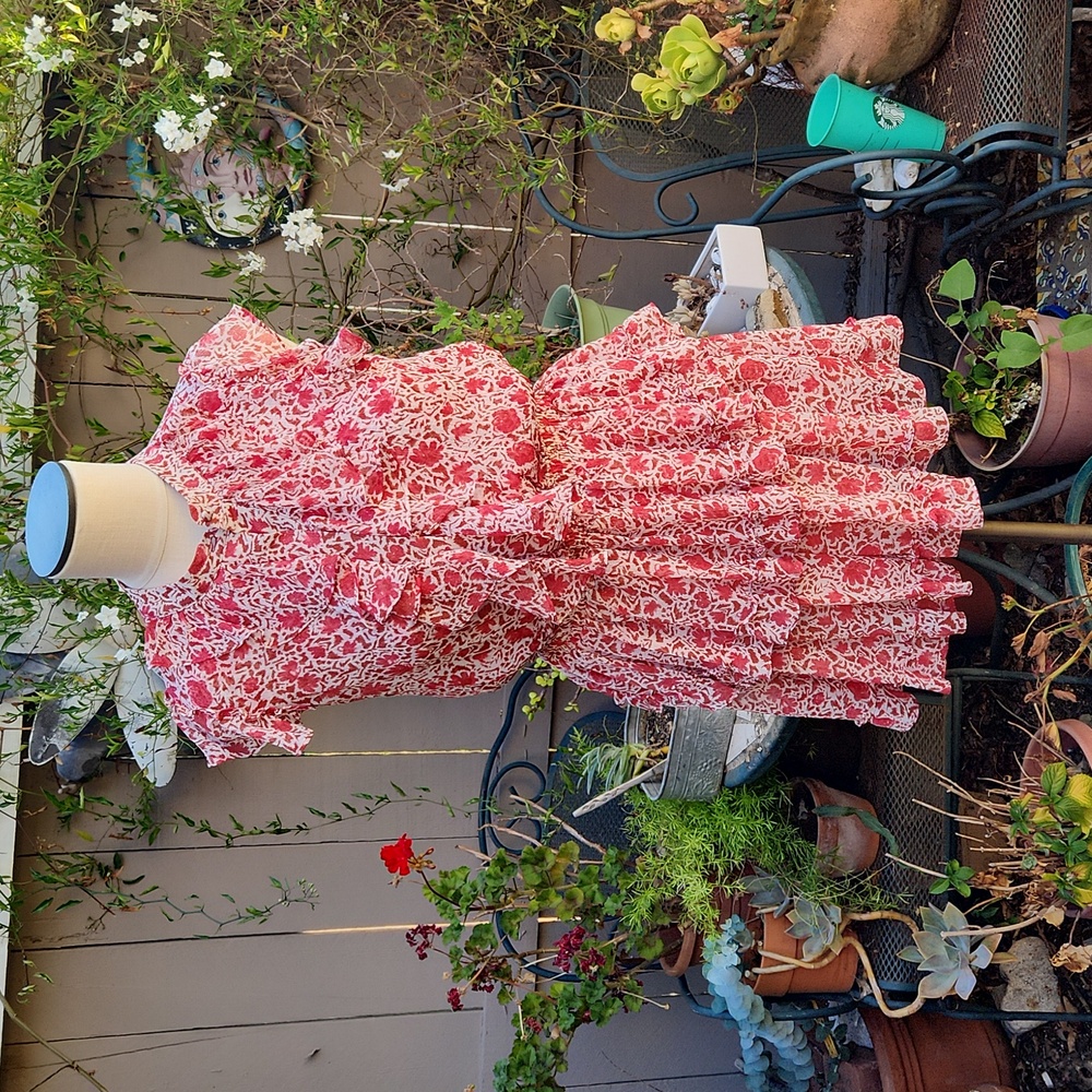 Misa Los Angeles Dress Size XS